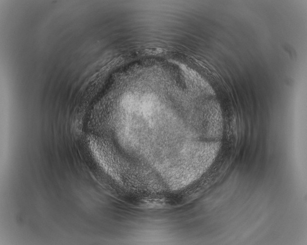 X0000113010606200909241353