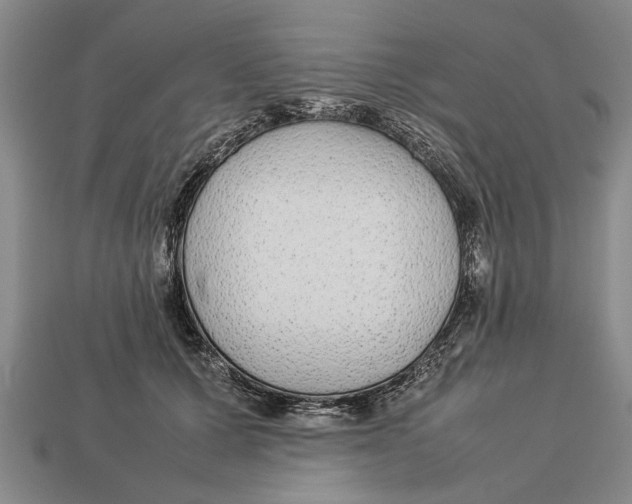 X0000113010607200909241353