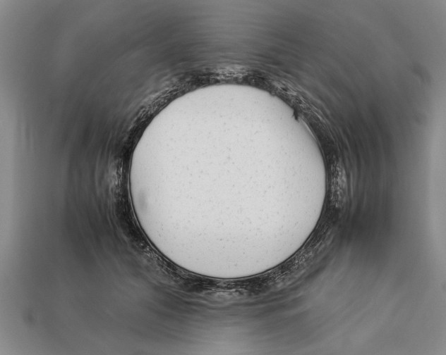X0000113010608200909241353