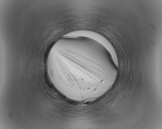 X0000113010609200909241353