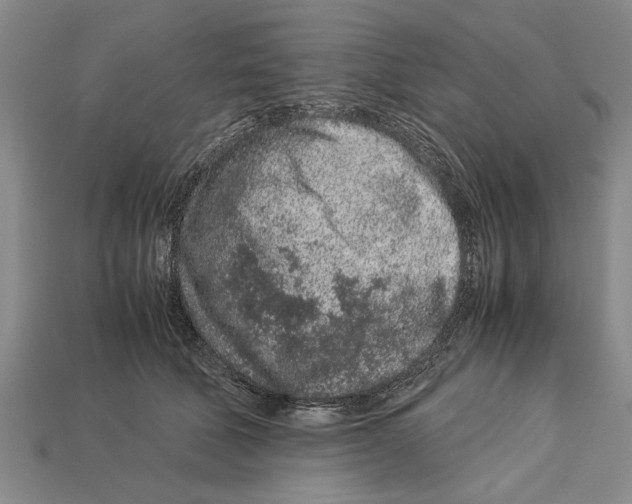 X0000113010610200909241353