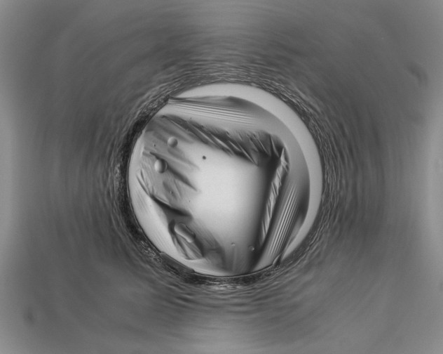 X0000113010611200909241353