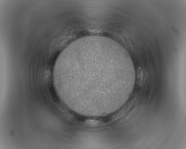 X0000113010614200909241353