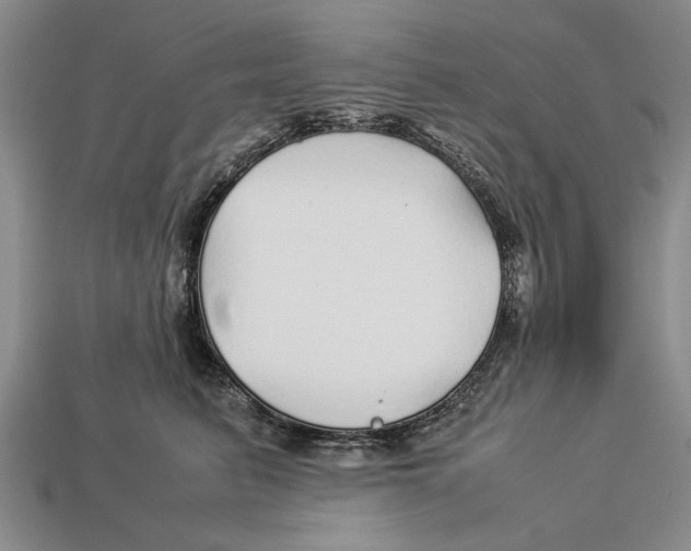X0000113010615200909241353