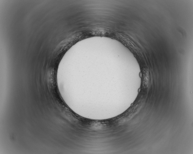 X0000113010616200909241353