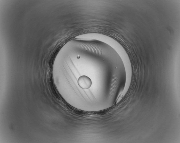 X0000113010617200909241353