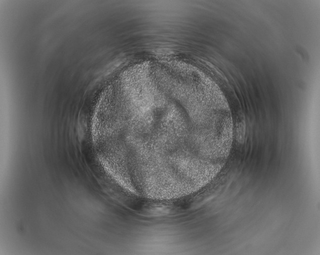 X0000113010618200909241353