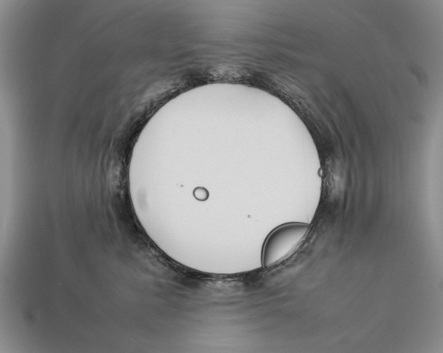 X0000113010619200909241353