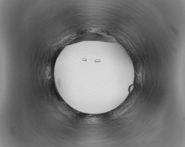 X0000113010620200909241353