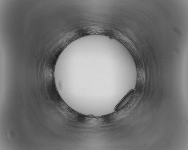X0000113010621200909241353