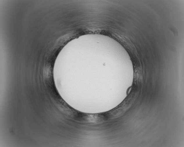 X0000113010623200909241353