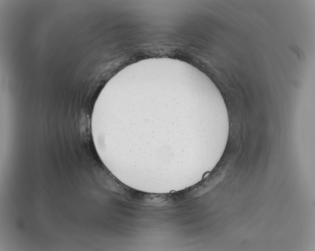 X0000113010624200909241353