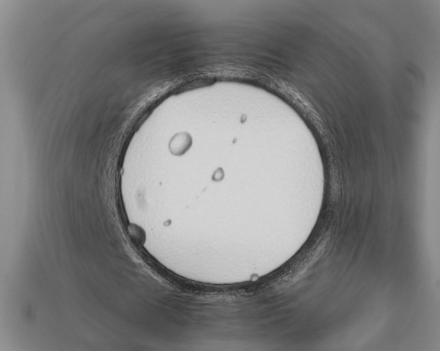 X0000113010625200909241352
