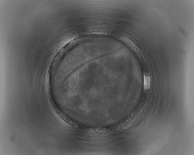 X0000113010627200909241352