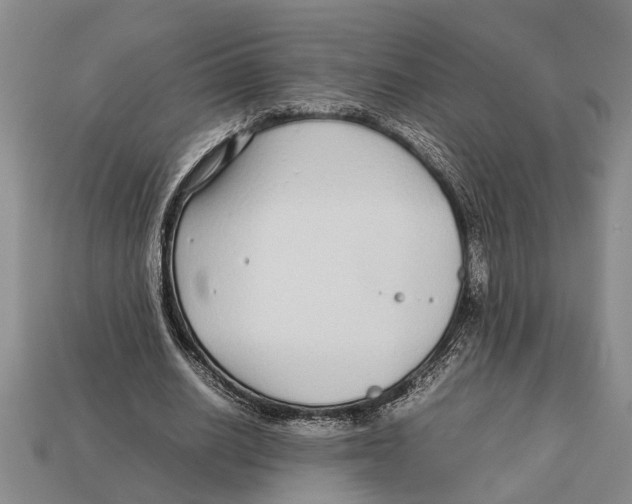 X0000113010630200909241352