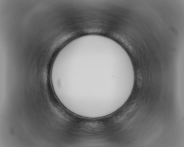 X0000113010631200909241352