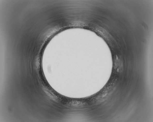 X0000113010632200909241353