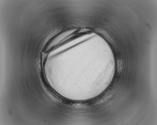 X0000113010634200909241353
