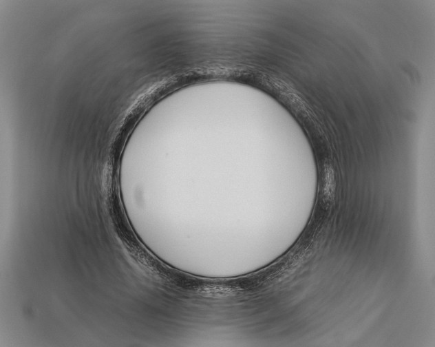 X0000113010636200909241353
