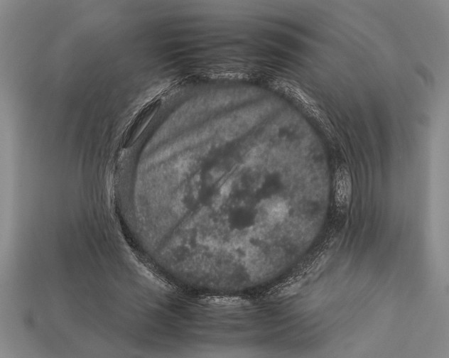 X0000113010637200909241353