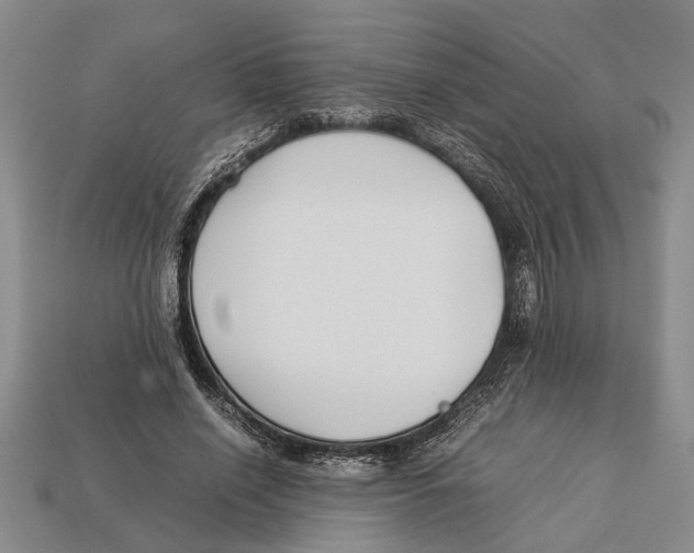 X0000113010638200909241353