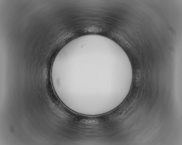 X0000113010639200909241353