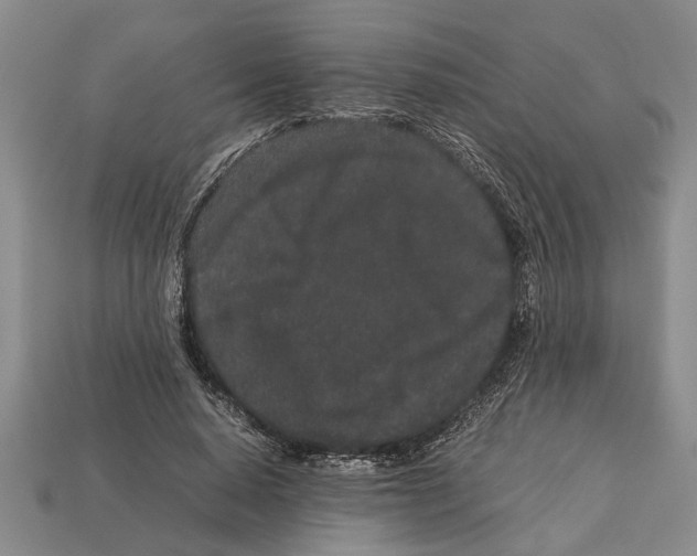 X0000113010640200909241353