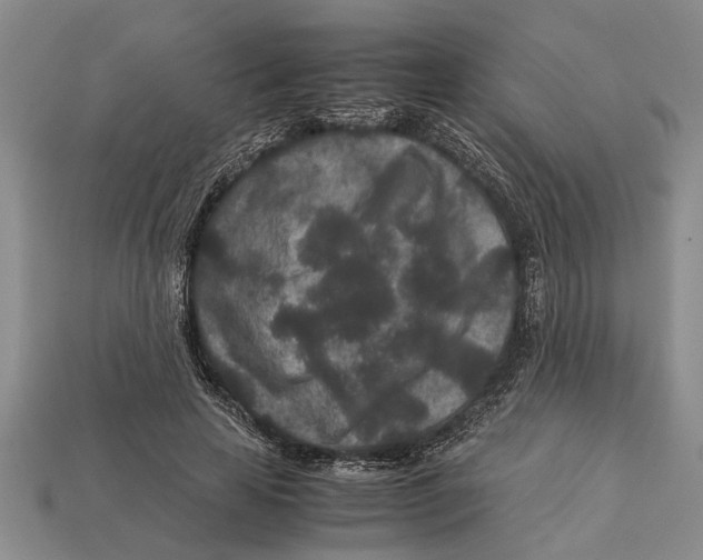 X0000113010641200909241353