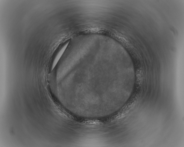 X0000113010642200909241353