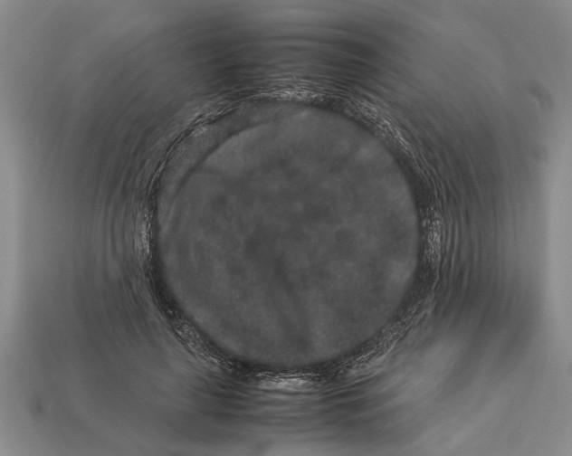 X0000113010643200909241353