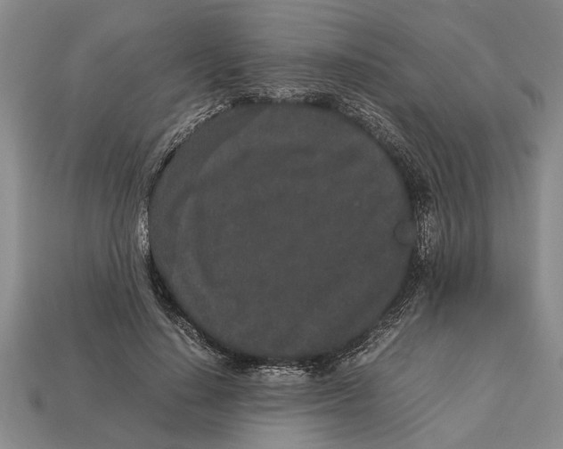 X0000113010644200909241353