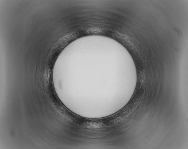 X0000113010645200909241353