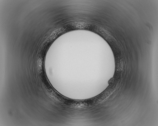 X0000113010646200909241353