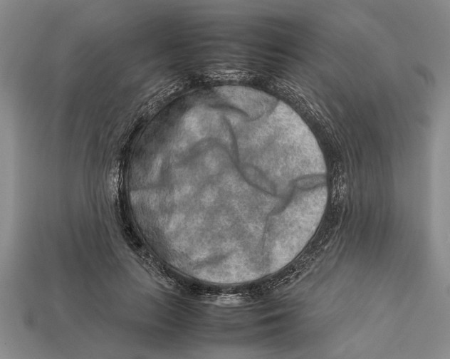 X0000113010647200909241353