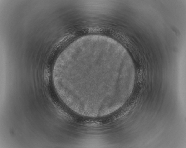 X0000113010648200909241353