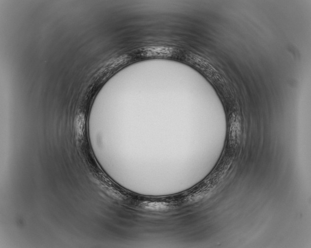 X0000113010649200909241353