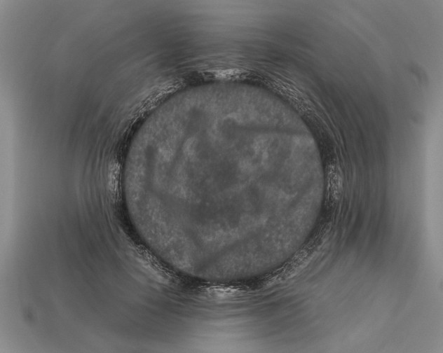 X0000113010650200909241353