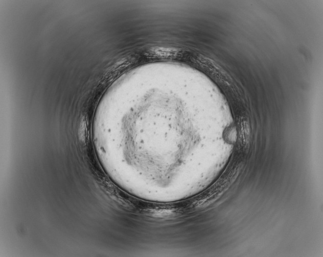 X0000113010651200909241353