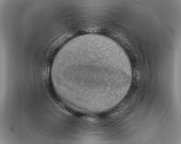 X0000113010652200909241353