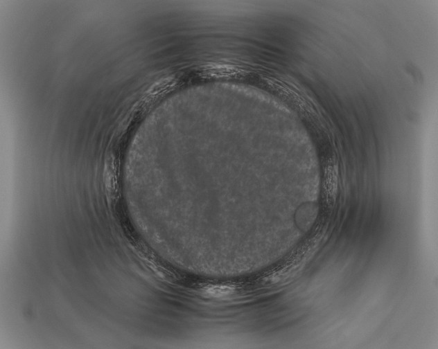 X0000113010653200909241353