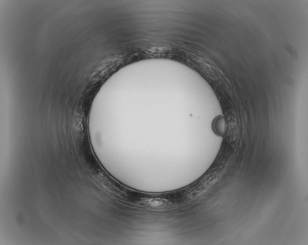 X0000113010654200909241353