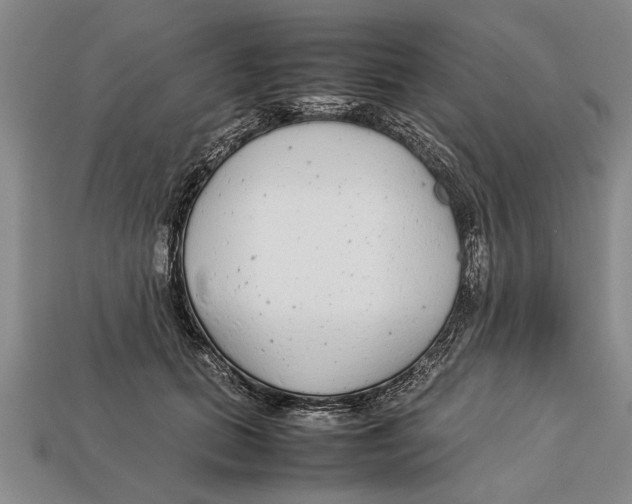 X0000113010655200909241353