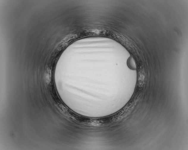 X0000113010656200909241353