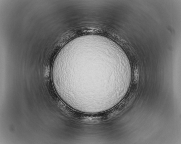 X0000113010657200909241353