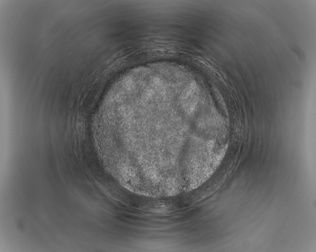 X0000113010659200909241353