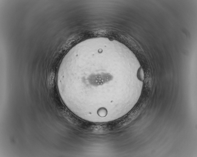 X0000113010660200909241353
