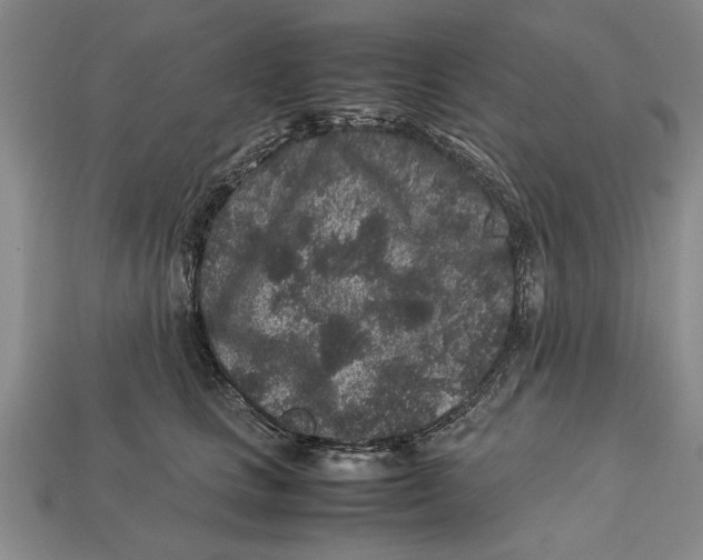 X0000113010661200909241353