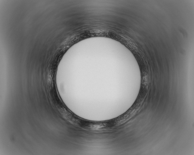 X0000113010662200909241353