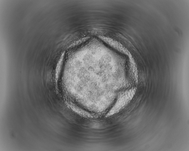 X0000113010663200909241353