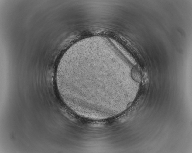 X0000113010664200909241353